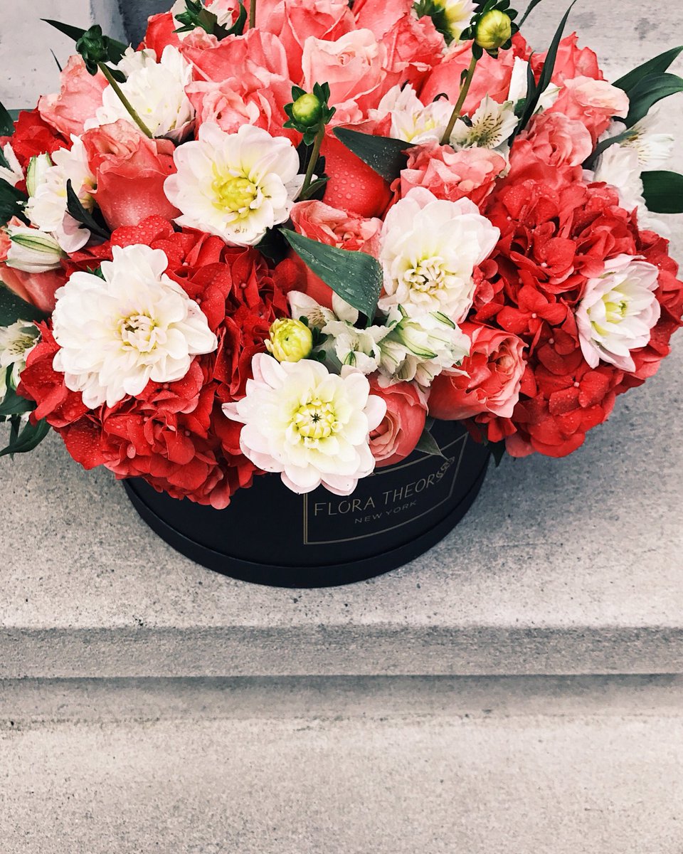 FloraTheory's tweet photo. It’s beginning to look a lot like Christmas 🎄🌹🎁 #FloraTheory https://t.co/I7LMvyj9z5