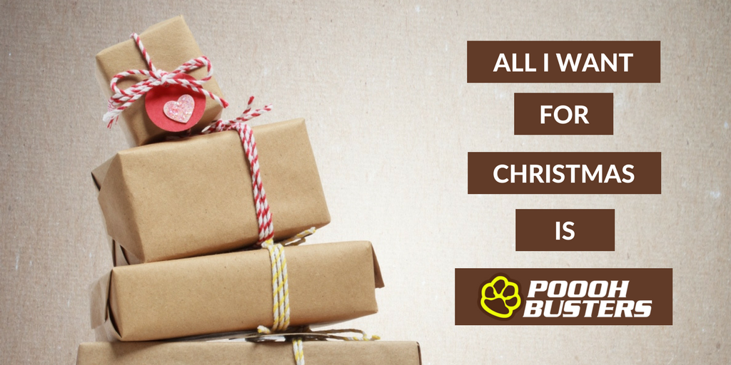 pooohbusters's tweet photo. Don't forget we offer #christmas gift certificates for your favourite #dog person! We create fun, customized certificates in PDF format for convenient printing or emailing. A great gift if your running out of ideas! #pooperscooper #whoyagonnacall #pooohbusters https://t.co/9NgOqdvlHA