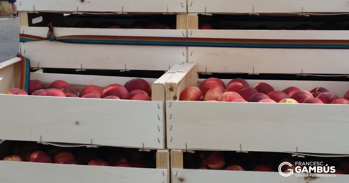 fgambus_eu's tweet photo. ✅A favor d'una política agrícola europea més senzilla i justa.
Reiterem que hem d'establir mecanismes per ajudar #pagesos afectats x crisis i estabilitzar els ingressos. #agricultura està exposada a +riscos. #fruitaDolça #vetoRus
📝Debat a @Europarl_CAT: https://t.co/XLlNtN5E3m https://t.co/9dpvQRmZQ4