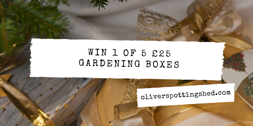 Mooseseeds's tweet photo. Enter to win 1 of 5 gardening boxes worth over £25 
#giveaway #prizedraw #gardening #allotment #prize #win #womeninbiz #sbutd

https://t.co/Ovby5LEWm0 https://t.co/JKgGiQ8Yco