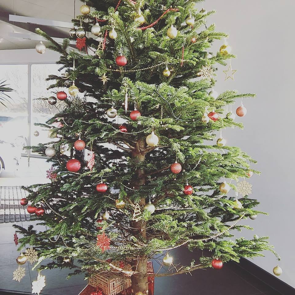 HowardsPeugeot's tweet photo. We are loving our warm showroom and Christmas tree! #howards #Peugeot #warm #westonsupermare #Christmas #cars #showroom #testdrives #quality #experience #greatservice #welcome #friendlyteam https://t.co/jdaagsRVI8
