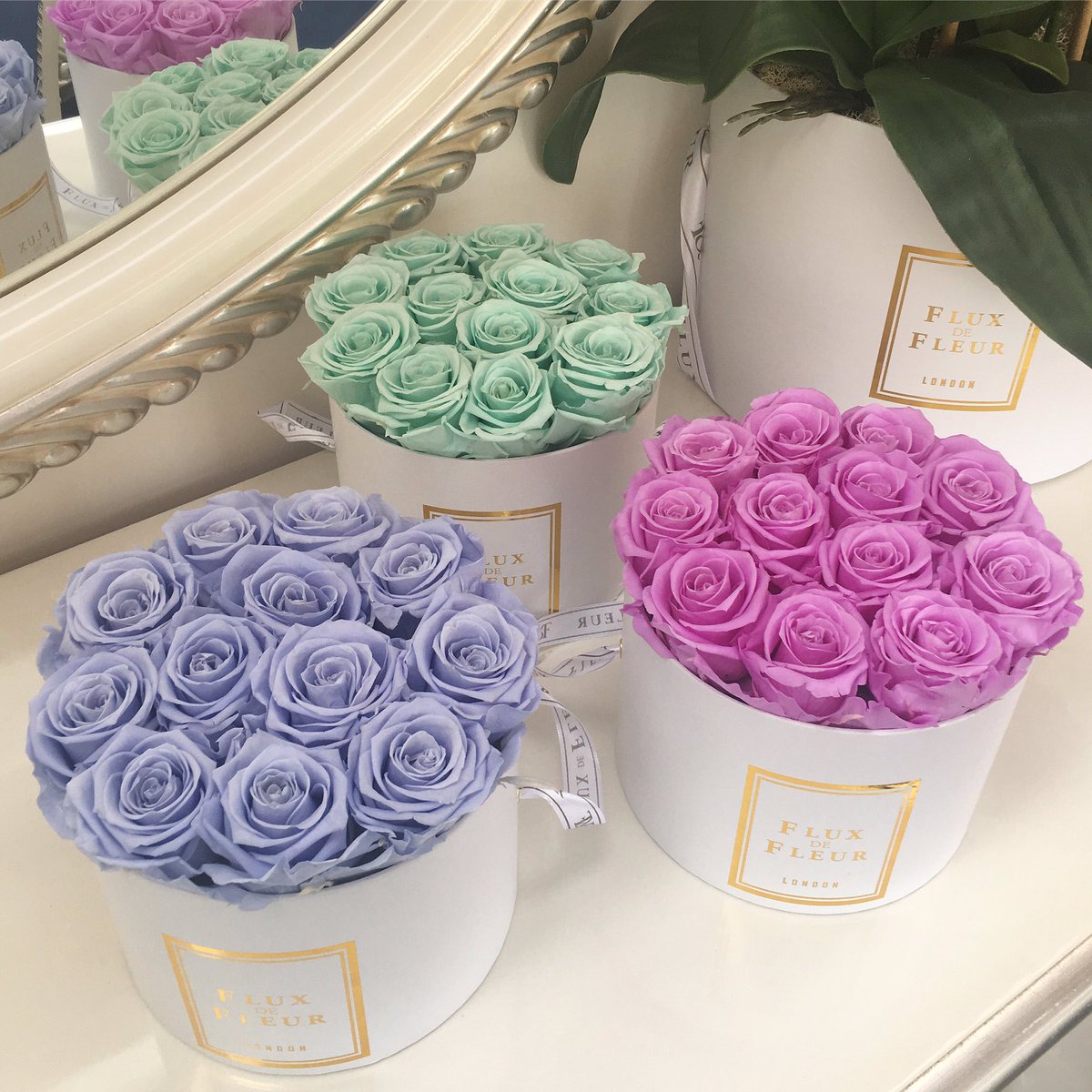 FluxDeFleur's tweet photo. @AbbieAbbiemac @BBCR1 Lavender, Lilac, Minty Green 💜💗💚 #PastelColors #SpreadLove
👉🏼Shop Now Link👉🏼 https://t.co/NThOj7QwW6 
#roses#christmasgifts#love#flowers https://t.co/TyiJ211huK
