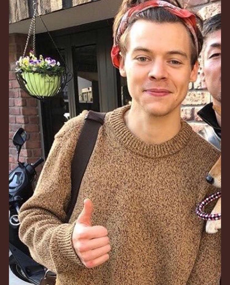 lowqualityxhes's tweet image. 