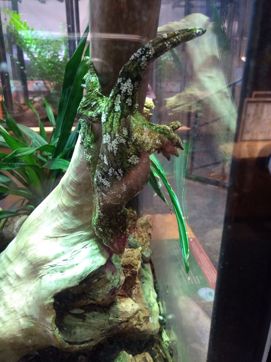 va3sbd's tweet photo. Ok finished checking out these cute guys at the @OntScienceCtr and walk into a room playing BeeJees Stayin Alive and like always think back to my CPR recert class. πππ #LivingTheScienceLife #ilovemyjob @CMichaelGibson @radiostace @AnastasiaSMihai @DrMarthaGulati https://t.co/DTWkswu0eU