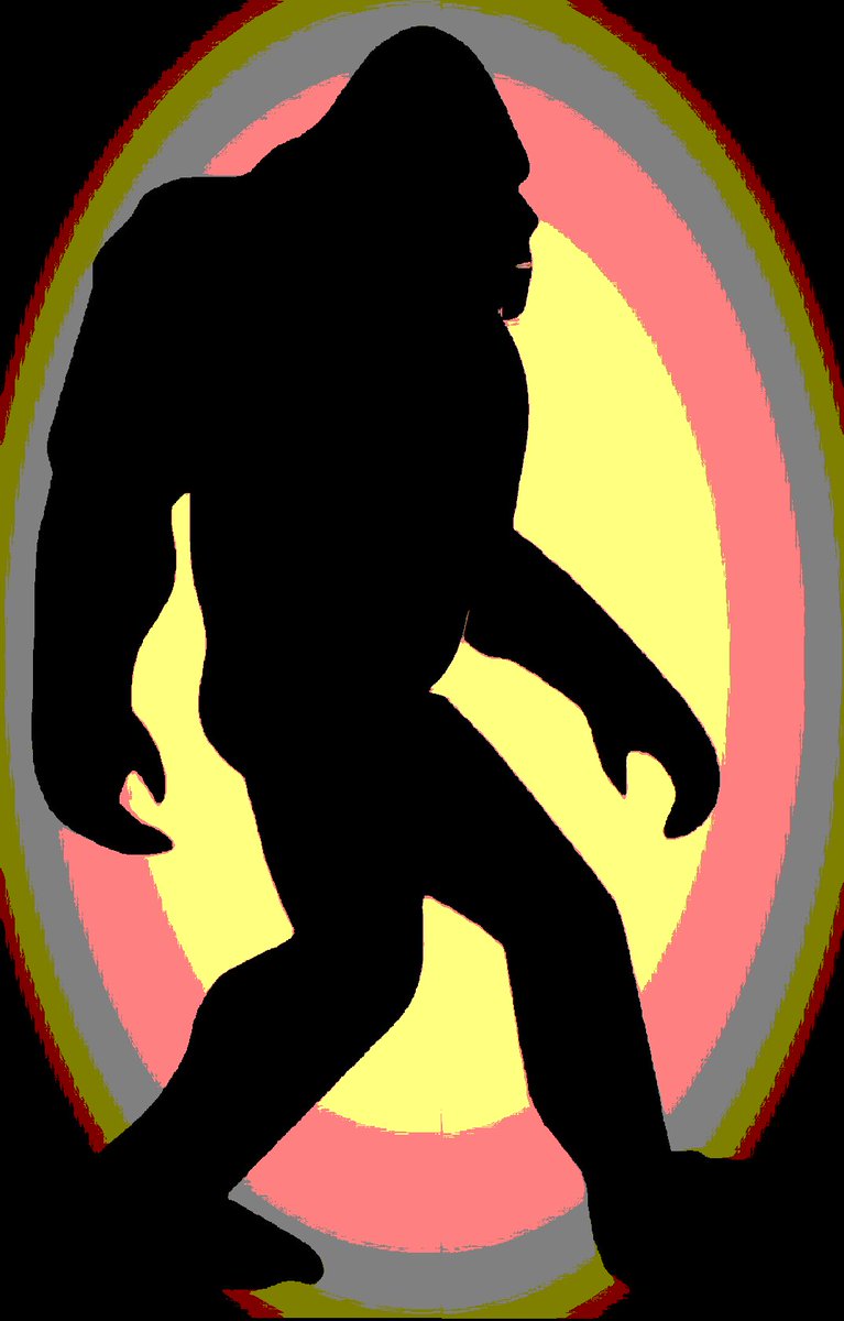 jenniferkruse's tweet photo. #BIGFOOT Hotspots will be discussed on my #Radio show this week.  Tune in Wednesday 10pm EST / 9pm CST on https://t.co/lA47xshPHh 

#TheJourneyOnRadio @ParaXRadio  #Podcast #Sasquatch #SheSquatchers #Paranormal #Squatchman https://t.co/Txnor4MJfm