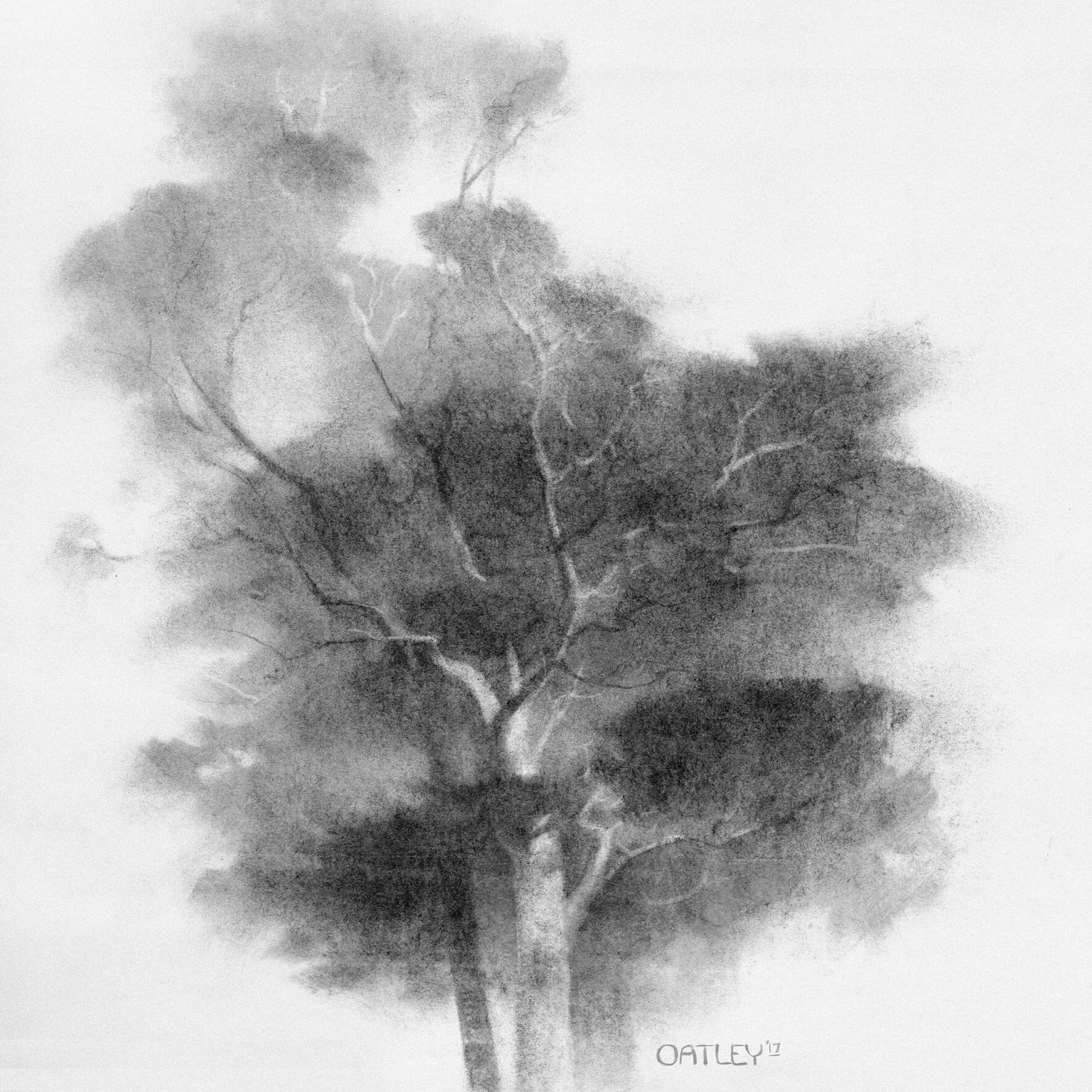 Spooky Trees in Charcoal (Use Your Coloured Pencils) | Tree drawing,  Silhouette art, Spooky trees