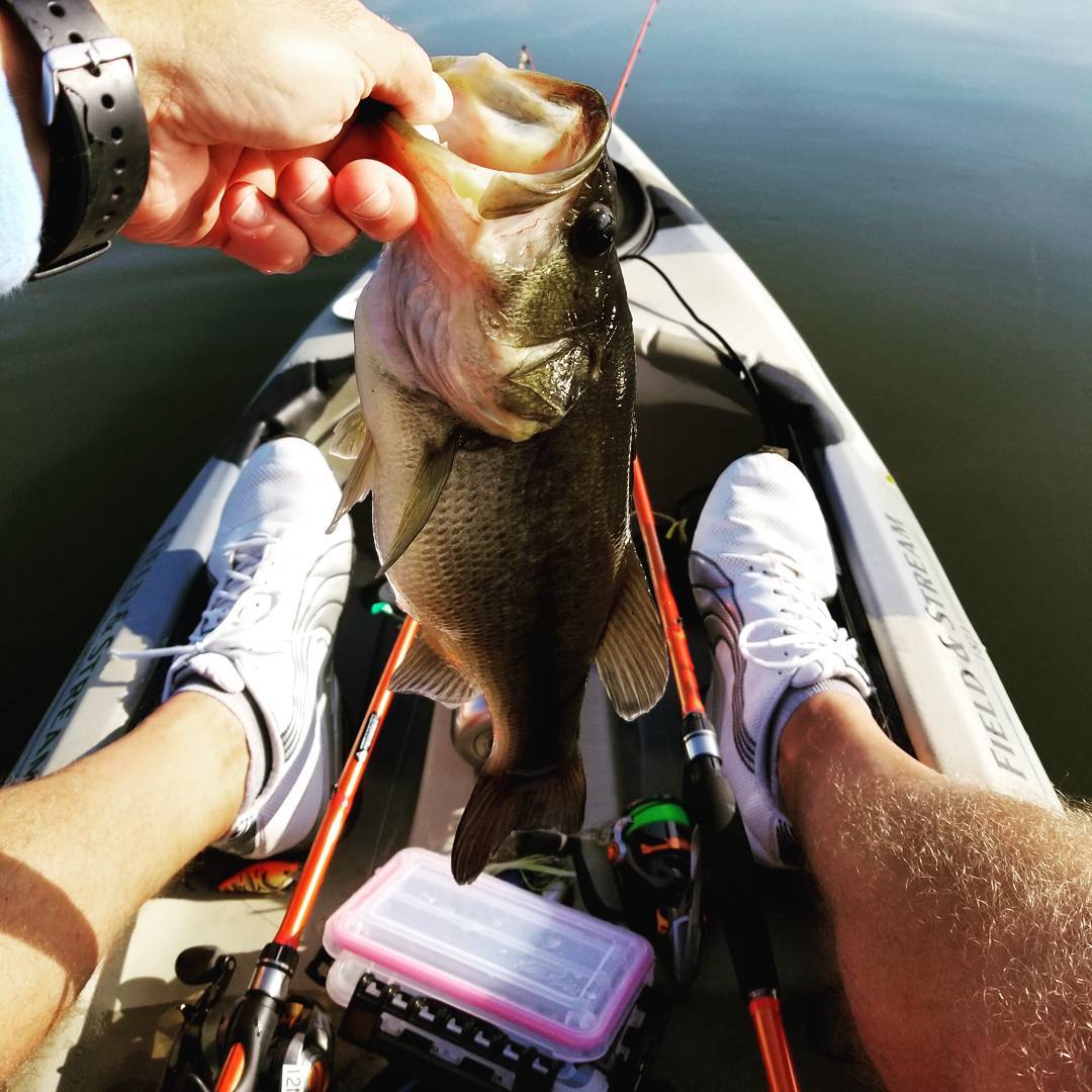 Carrotstix13's tweet image. "Went out Labor Day morning and caught this 2.5 pounder. I was slow rolling a Black Label Balsa Ricochet square bill when she bit. The bite was soft and I thought I was hung on grass, only to find out I had a nice bass on my line." - Timothy Jennings 

#fishinglife
#carrotstix