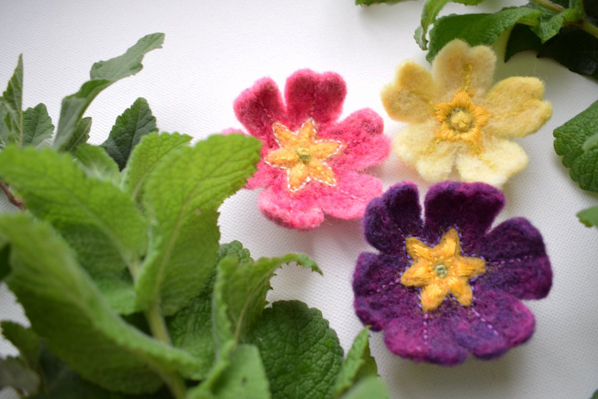 Cute new felted flower brooches now available in the Mossy Meadow shop, these ones are Primula (Primroses). #feltflower #flowerbrooch #primula #primroses
themossymeadow.etsy.com