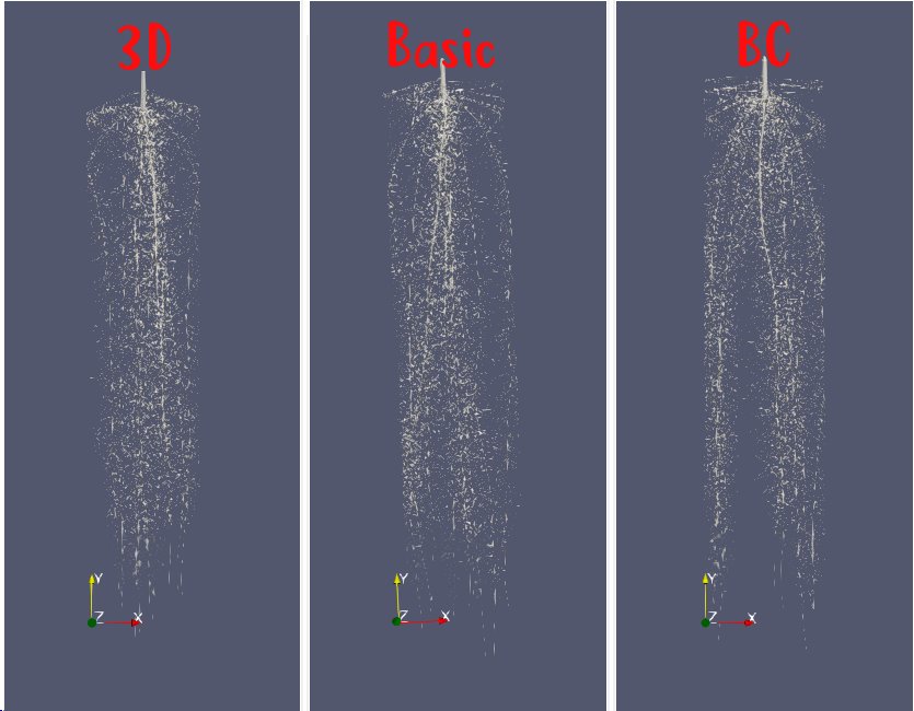 biomodelisation's tweet image. Here are the visual results of the comparative simulation of a bean root system with 3 modules of nitrate in #OpenSimRoot:
- Basic
- Barber-Cushman
- SWMS (3D)
The graphs will follow on Thursday
