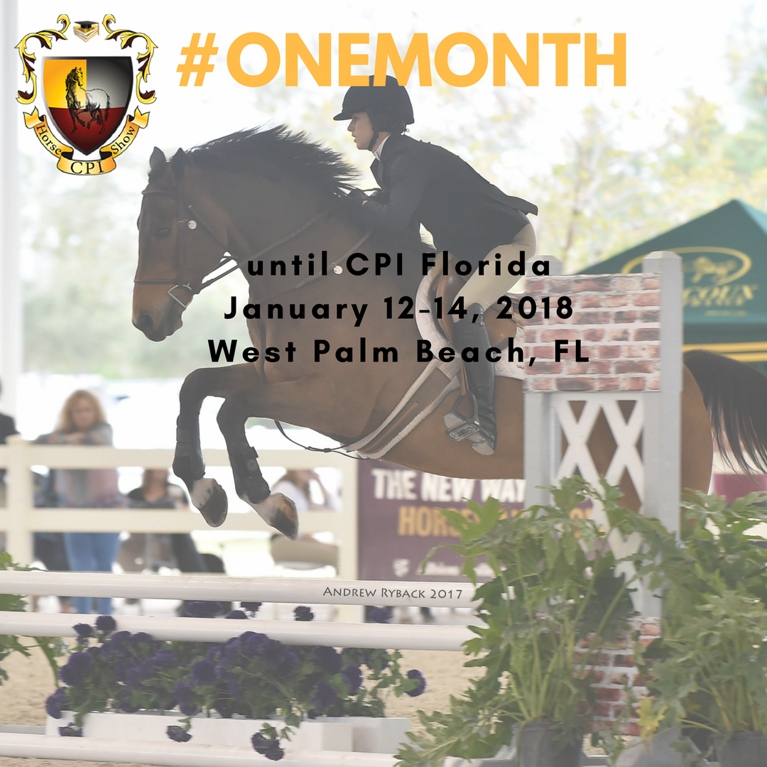 CPIHorseShow's tweet photo. Get ready #collegebound #equestrians to join us in #onemonth January 12-14, 2018 at #CPIFlorida #jimbrandonequestriancenter #westpalmbeach #florida Details: https://t.co/OMT0QrGwYT
#horseshow #collegiate #riding #horses #equine #equitation
pc: Andrew Ryback Photography https://t.co/hvnprZlzuA