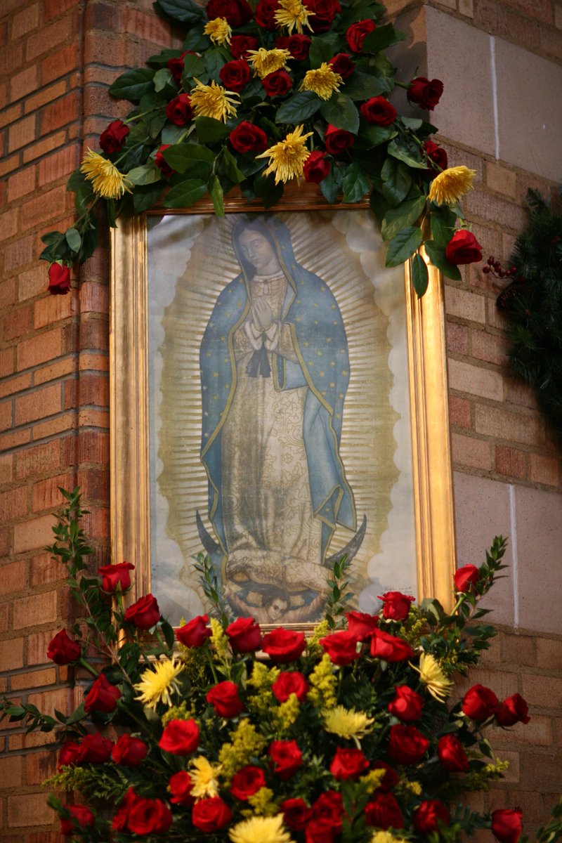 SJVDenver's tweet photo. Happy Feast of Our Lady of Guadalupe, Patroness of the Americas! Here's a photo of our #OurLadyofGuadalupe decorations at #SJVdenver. Pray for our seminarians as they begin their final exams! #Catholic #FeastDay Mary, cause of our joy, pray for us! https://t.co/oDKg1or4ke