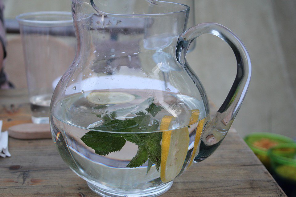 OtayWater's tweet photo. #TopTipTuesday: Set your holiday table with a pitcher of ice water instead of filling each glass. Guests will take only what they need. Use the leftover water for your pets or plants! https://t.co/9y5sMfTtau
