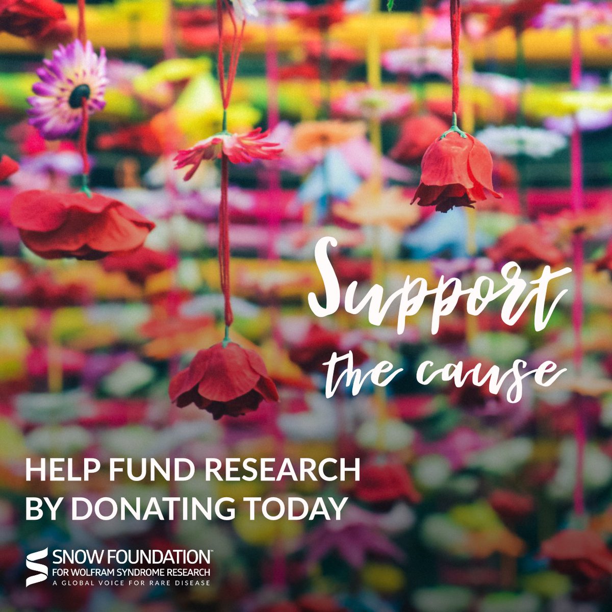 ASnowFoundation's tweet photo. If TSF raises the most online this week for Newmanβs Own Holiday Charity Challenge TSF will win $10,000 https://t.co/iqiVzNxA8D #supportthecause #wolframsyndrome #fundraiser #researchtofindacure #helpusfindacure https://t.co/ogDHsUUBjS