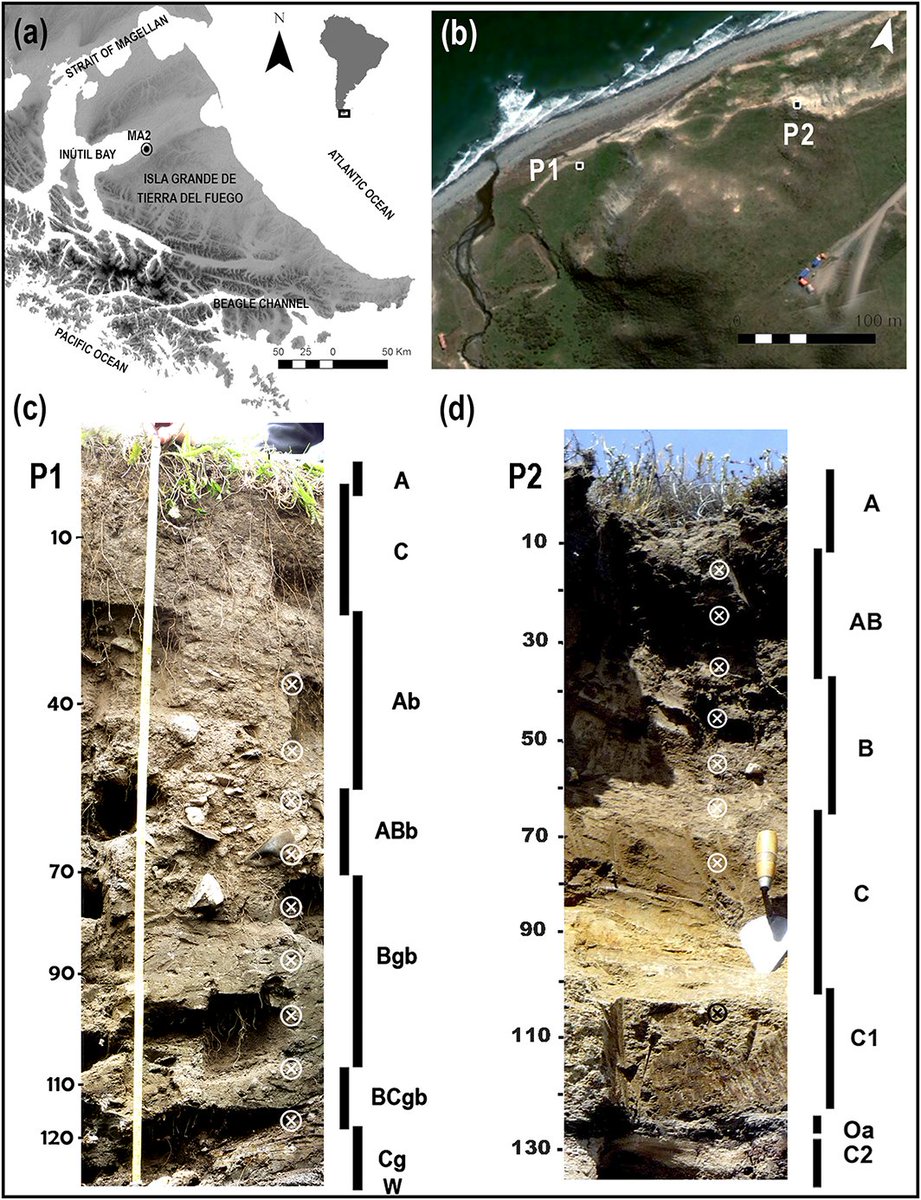 online environmental aspects of real estate transactions from brownfields to