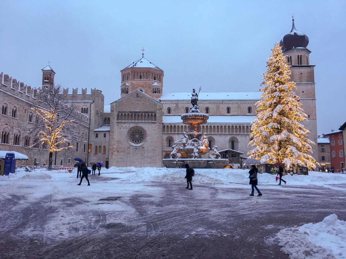 erling's tweet image. neve a Trento