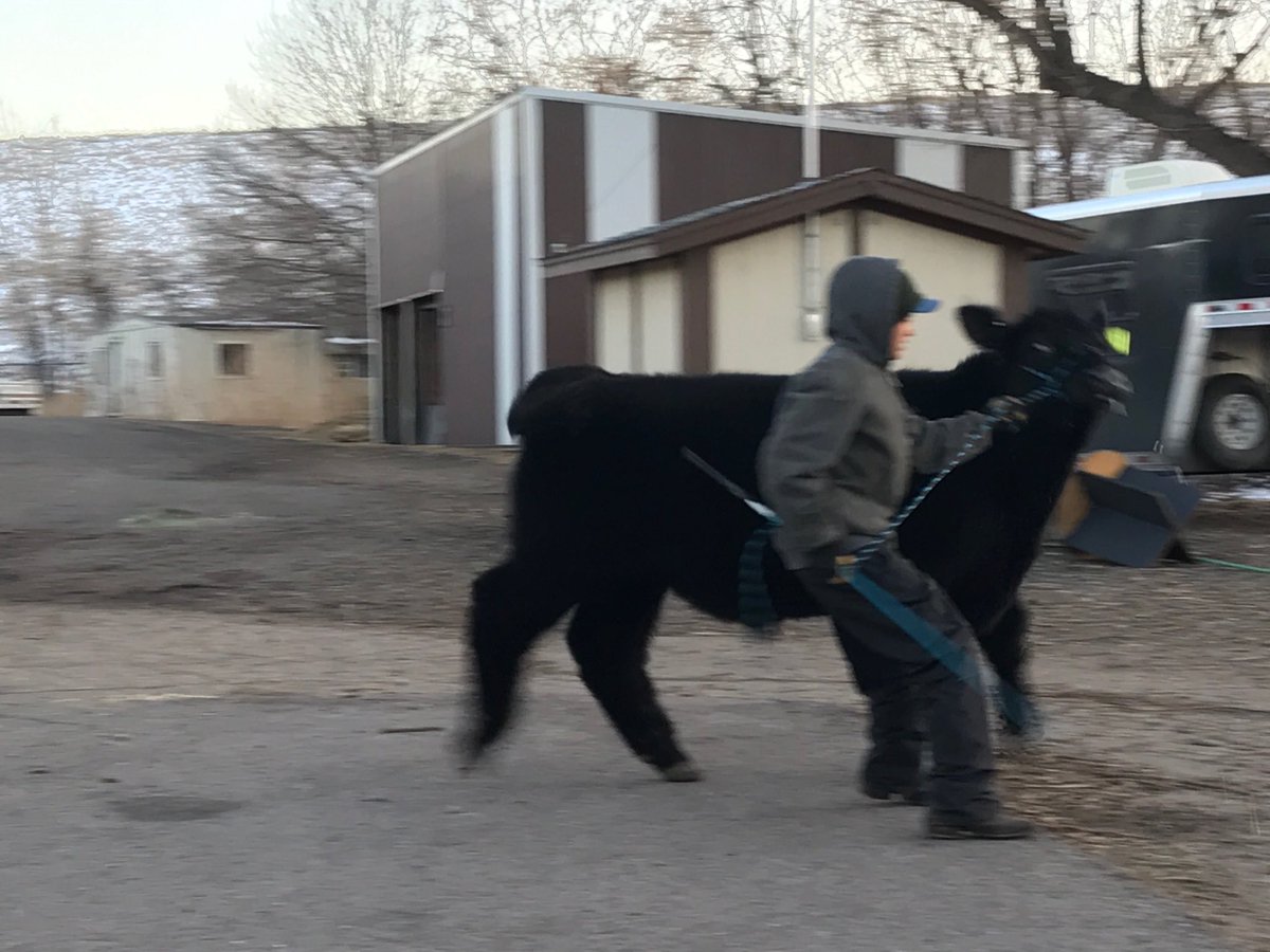 Cooper Kline (kline_cooper) Twitter