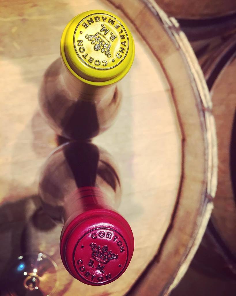 fabricebgd's tweet photo. #bonneaudumartray. #corton et #cortoncharlemagne magnifique 2015 et 2016,
Heureux de revoir ce domaine au sommet.
#vin #wine #wein #vino #vinho
#dégustation #winelover #winetasting #frenchwine #instavinho #instadrink #wineblog
#vigne #vines #vignob… https://t.co/yiy0OpdkEJ https://t.co/RHQqozBn9Z