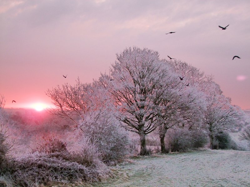 SlowCotswolds's tweet photo. A3: #Fire and #ice combined. Not a sunset but an icy #sunrise over the #Cotswolds. @BradtGuides #TRLT https://t.co/jeWhmN6nDz