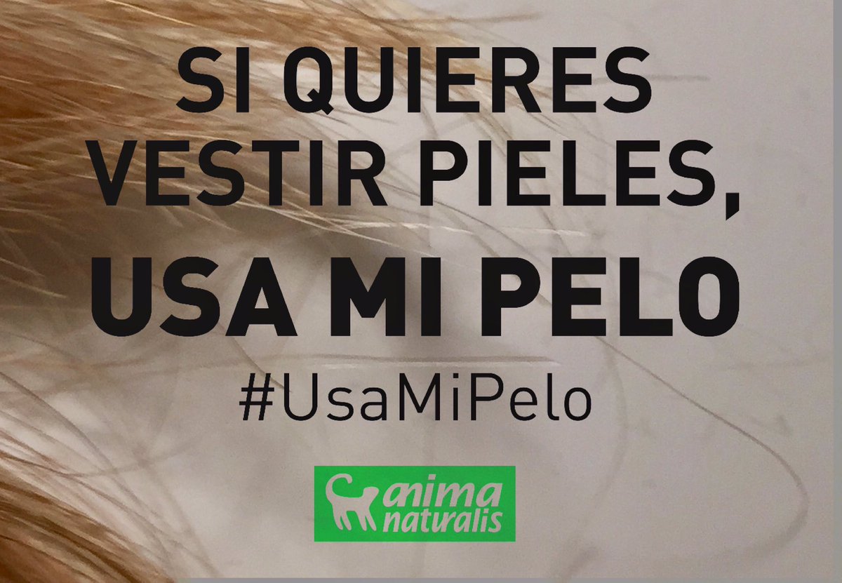 MartinaSisters's tweet photo. Me uno a la campaña #UsaMiPelo de @AnimaNaturalis porque estoy en contra del uso de pieles. Si quieres usar pieles, ¡usa mi pelo! https://t.co/oetNoeUt2Z