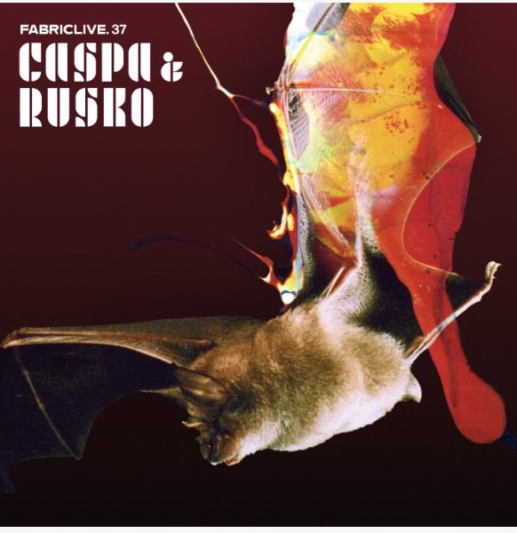 CASPA & RUSKO tweet media