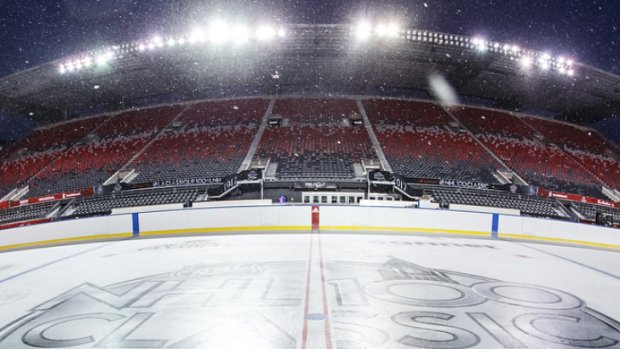 nhl backyard rink