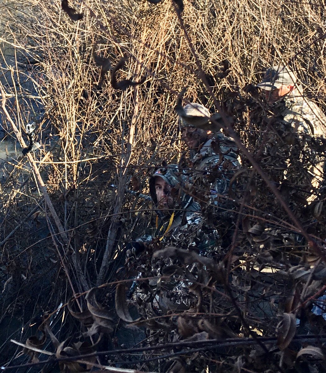 <a href="/Realtree/">Realtree</a> how many?