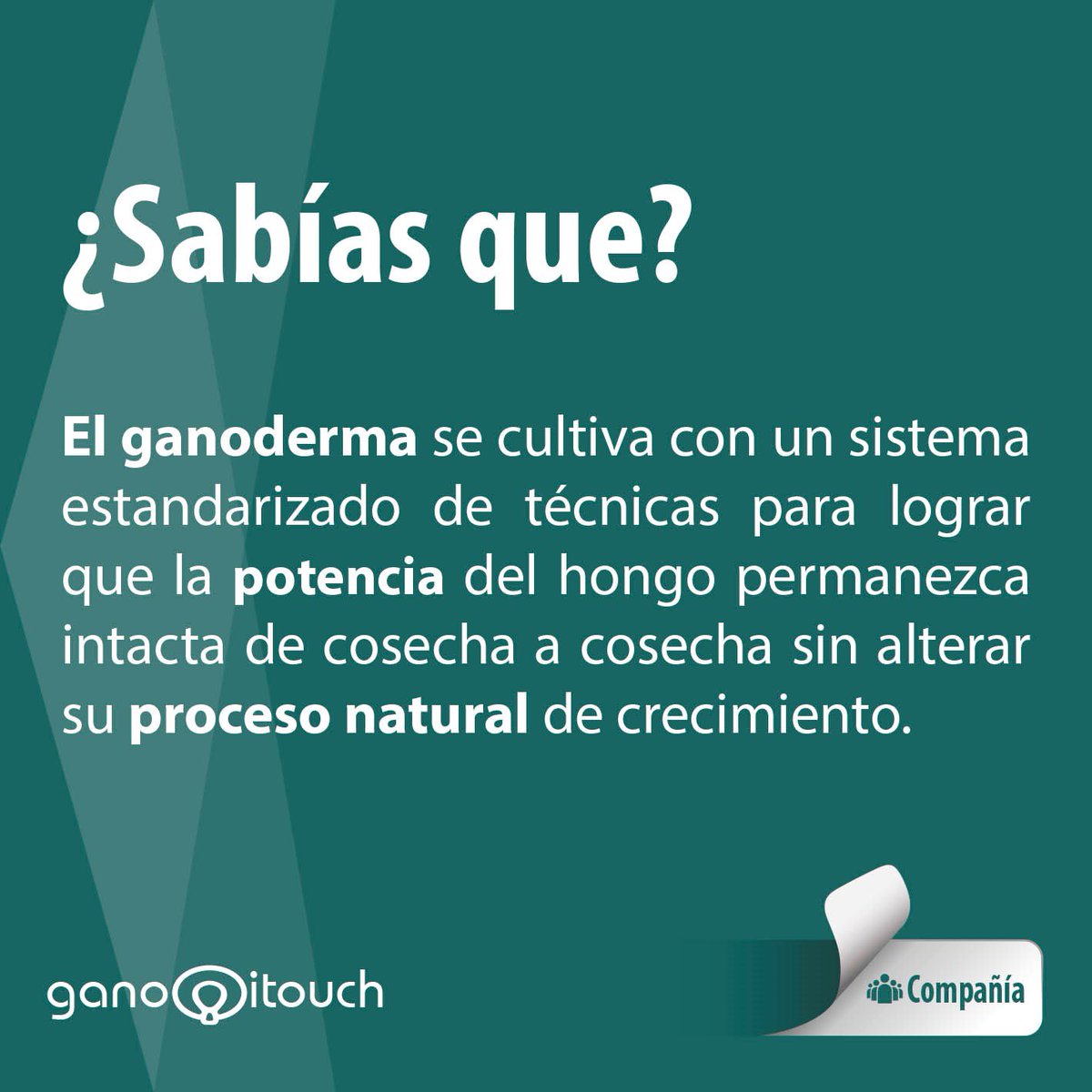 ganoitouch_pe's tweet photo. https://t.co/rGi3pR7pfW