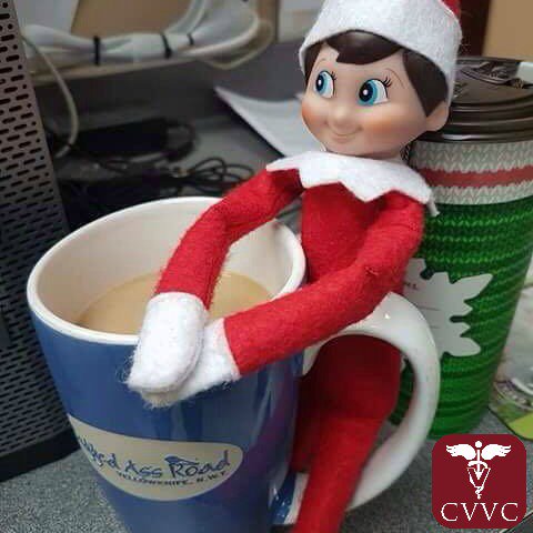 cypressviewvet's tweet photo. Zippy is all better and enjoying a cup of coffee! #vetelf #elfontheshelf https://t.co/4hDS6FNbF4