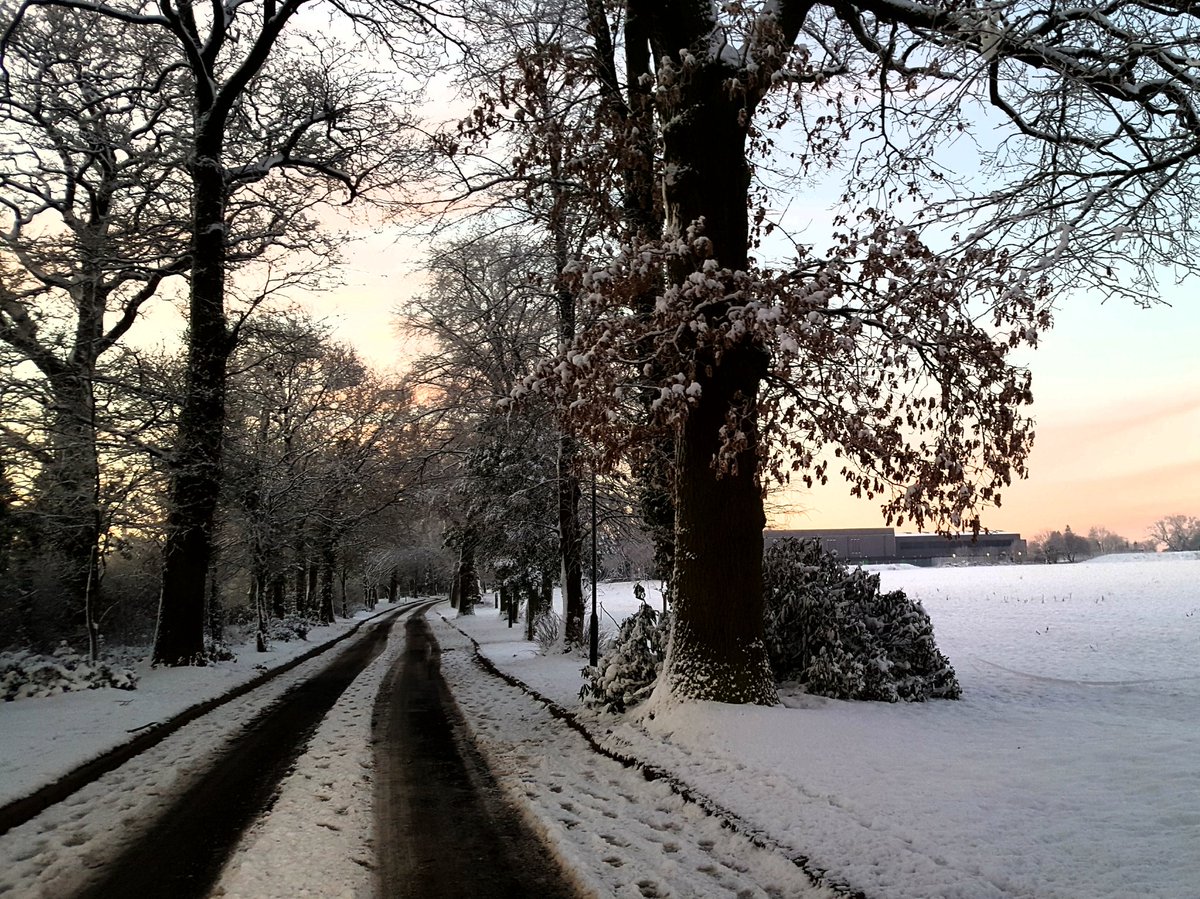 Geography at TREA tweet media