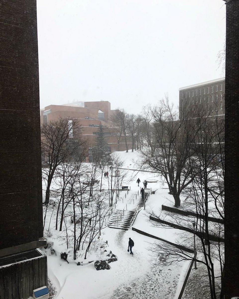 UMontreal's tweet photo. 🌨 Première tempête ❄️

(Photos : tamara.mds / emelinespictures / sha_congmon sur Instagram) https://t.co/JZgDgh2vDB