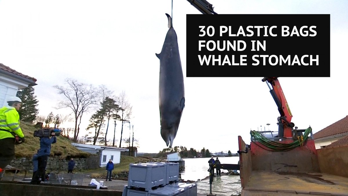 What is ocean #plasticpollution and how can we reduce it? ibtimes.co.uk/what-ocean-pla…