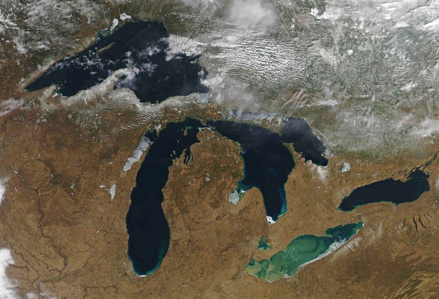 DiscoverMag's tweet photo. How exotic mussels have turned the Great Lakes into an aquatic desert: https://t.co/y6rkF2Zr7b https://t.co/e4pvuDOsi2