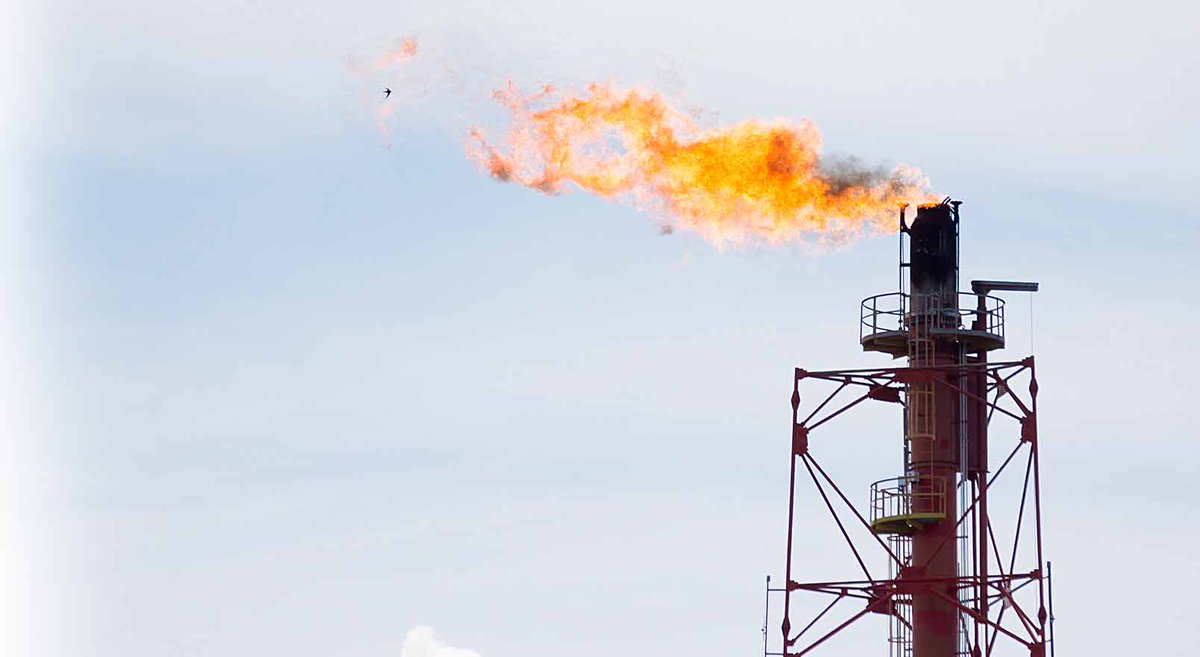 LevelFirstIns's tweet photo. LevelFirst offers a unique facility with comprehensive coverage for oil and gas consultants! Click for details. https://t.co/Yx4zcXDiK9 https://t.co/0MkKJTmHTM