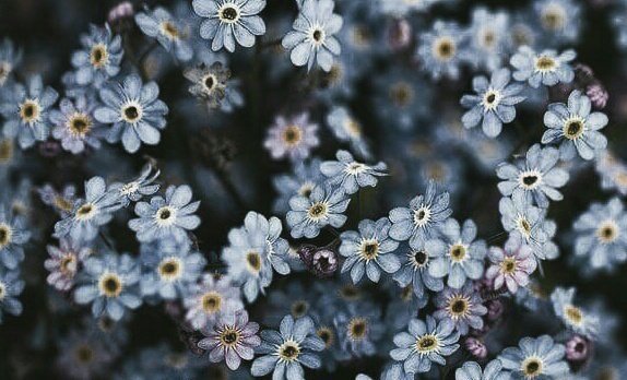 shownu_s's tweet image. ||• You make me feel safe , I love you ..   •||
#MonstaX #Monbebeselcaday #Shownu