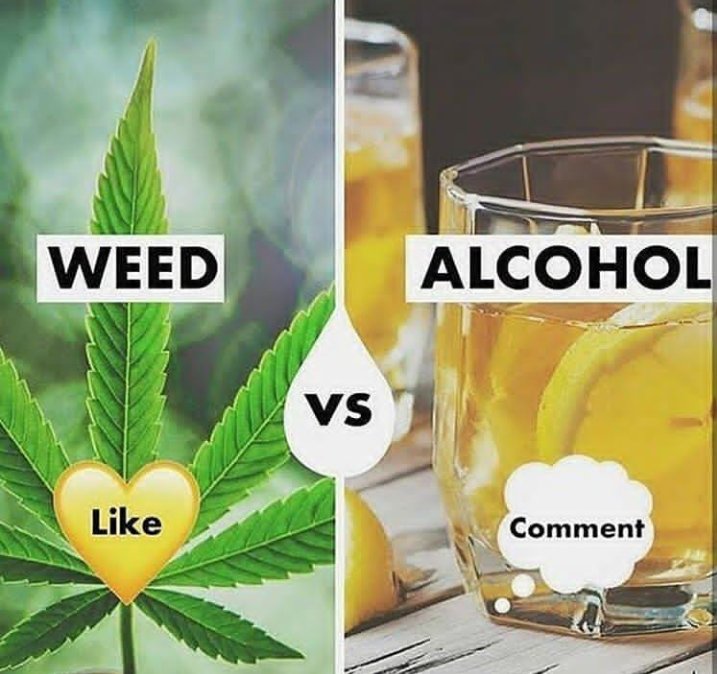 pattywack28's tweet photo. @PollJunkys 
#QuestionOfTheDay https://t.co/jb0hc9dUQC