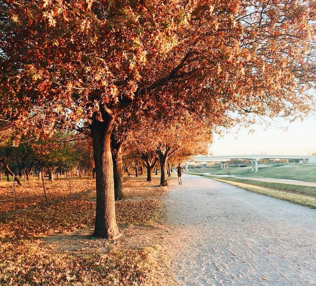 Wow...look at all that color! Enjoy this array of natural beauty and hit the #trinitytrails at Waterside! ✨🍁🏃🏽‍♀️📸: <a href="/visitfortworth/">Fort Worth</a> #watersidefw #fortworth #fwlocals #fortworthwhile #visitfortworth #tuesday #rei #outdoors