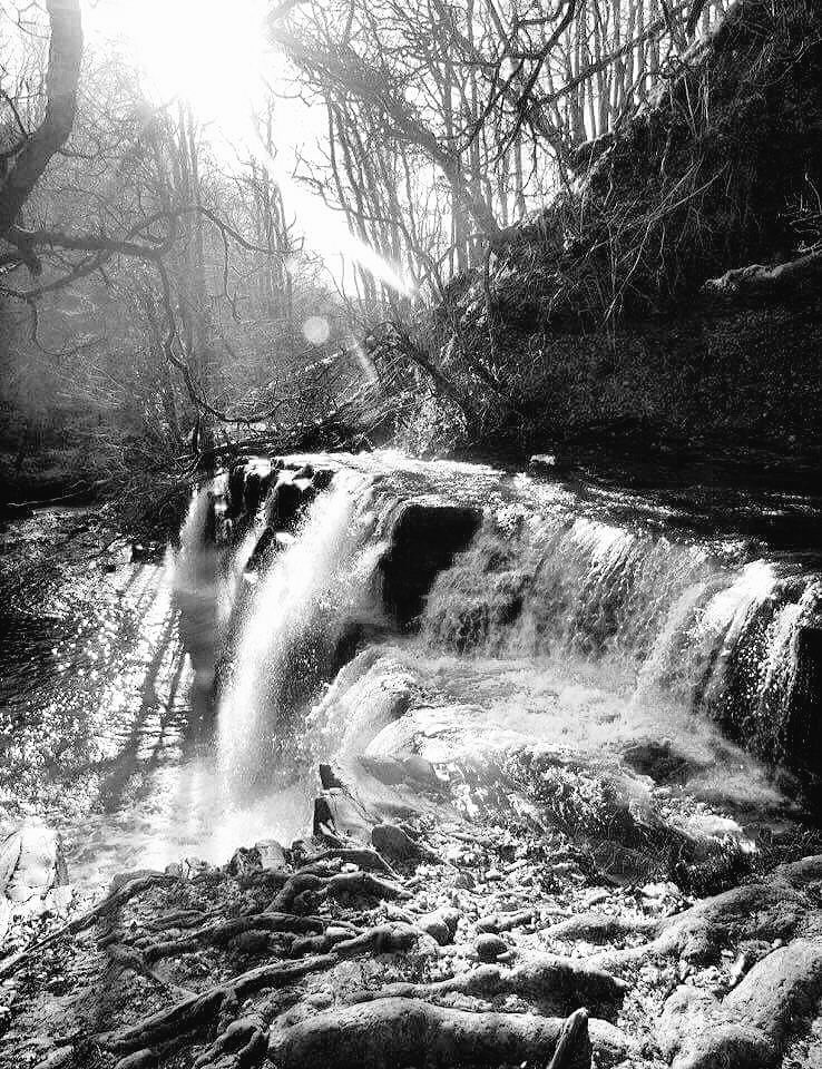 Vale of Neath tweet media