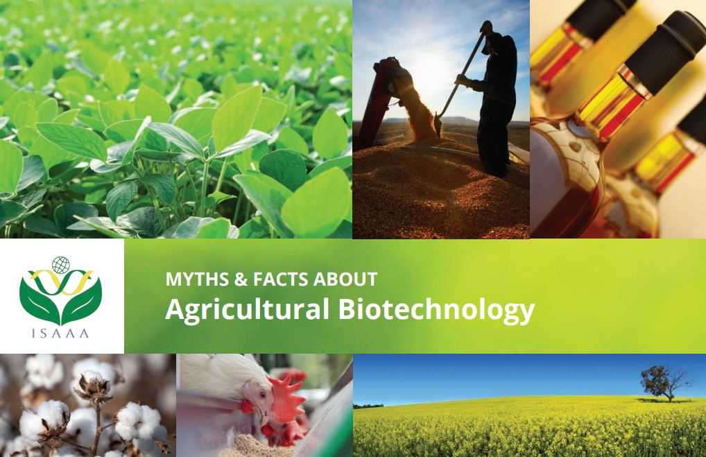 download Biotechnology: Prospects and