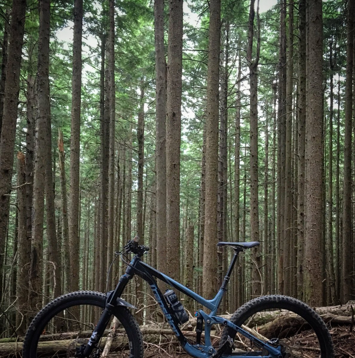 BLACKBEARDltd's tweet photo. What a morning! Had to break into nature after my 4 days spent inside at #PRI30 10mi 2800ft climbing. Back to work lots designs in the chute https://t.co/vOM5QiEq1v