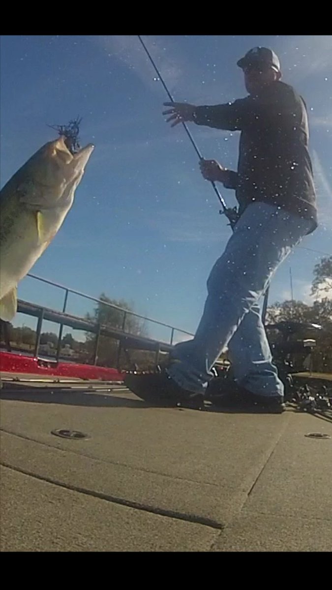 jthobbs210's tweet photo. Flippin them in on the jig/flappy daddy #bassfishing #jigbite #GamblerLures https://t.co/ipXUxvhSJC