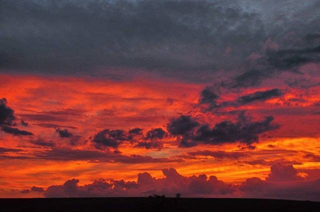 BigAlAdventures's tweet photo. Reposting @i.am.the.seeker:
#cloudstagram #sunspotters #skyline #skypainters #sunsetporn #dayshots #cloudysky #skylovers #sunset_pics https://t.co/Rey7paqHrG