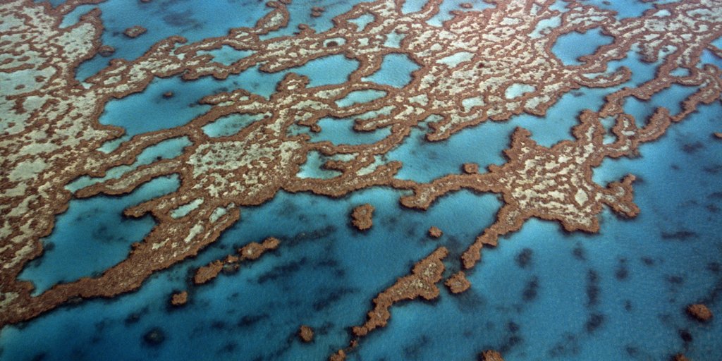 LeahBarclay's tweet photo. Explore the acoustic ecology of Queensland’s rainforests, rivers &amp; reefs at #ShiftingStates by downloading #AURALITY (for iOS and android) and walking around @UniofAdelaide &amp; @samuseum to trigger GPS soundscapes #AR #3Daudio #Adelaide https://t.co/yd0nmF92YV