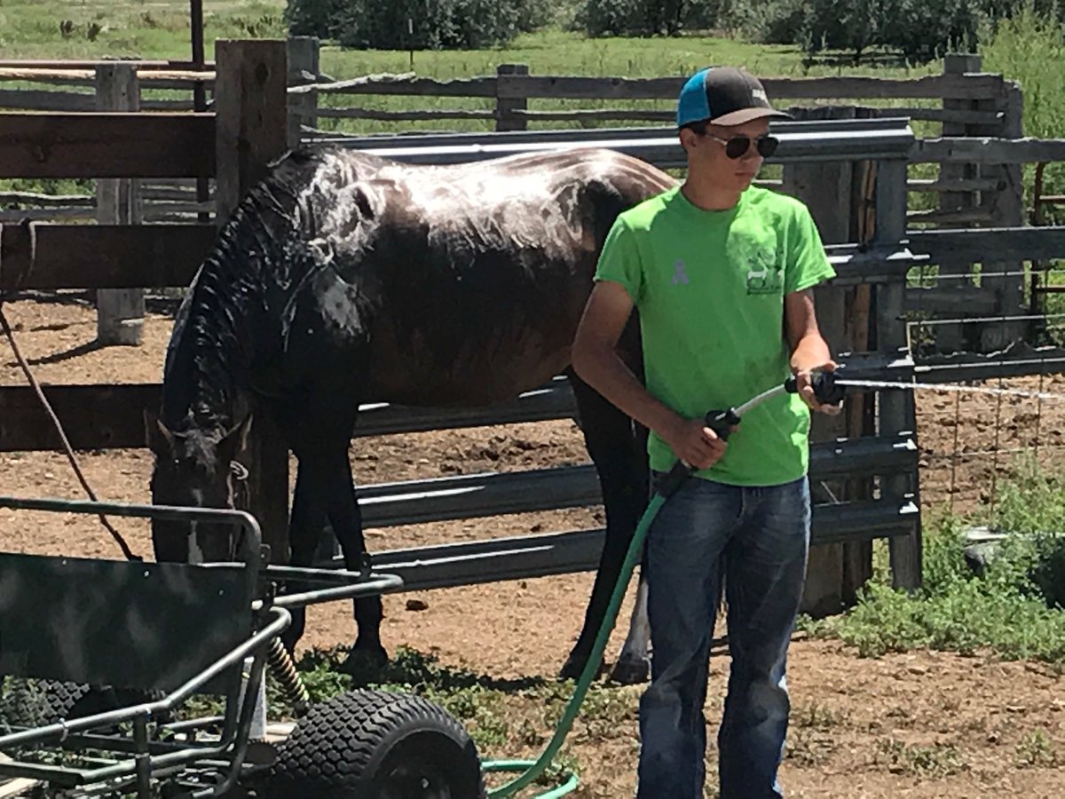 Cooper Kline (kline_cooper) Twitter