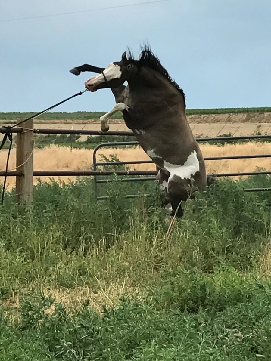 Cooper Kline (kline_cooper) Twitter