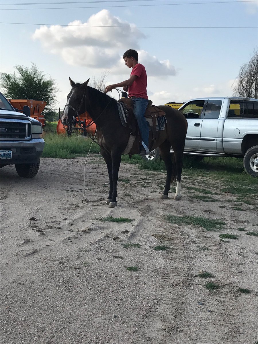 Cooper Kline (kline_cooper) Twitter