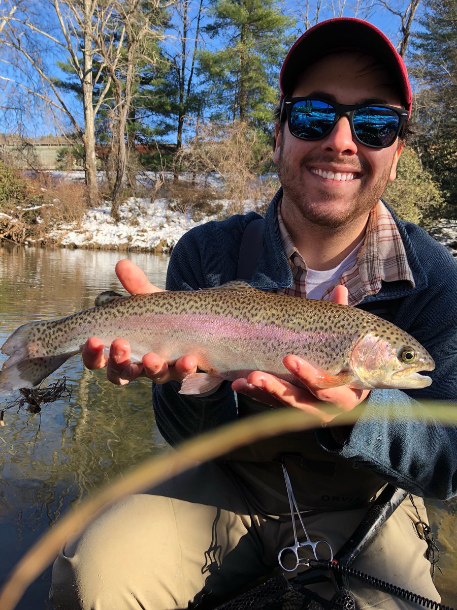 highcountryfly's tweet photo. A few nice bows from yesterday, including a fat 18 incher! DM about guided trips in the Boone, NC area! #highcountry #ncfishinh #flyfishing #catchandrelease #keepemwet #delayedharvest #orvis #simms #sage #wading #winter #rainbowtrout #troutbum https://t.co/L0QdZbrzDJ