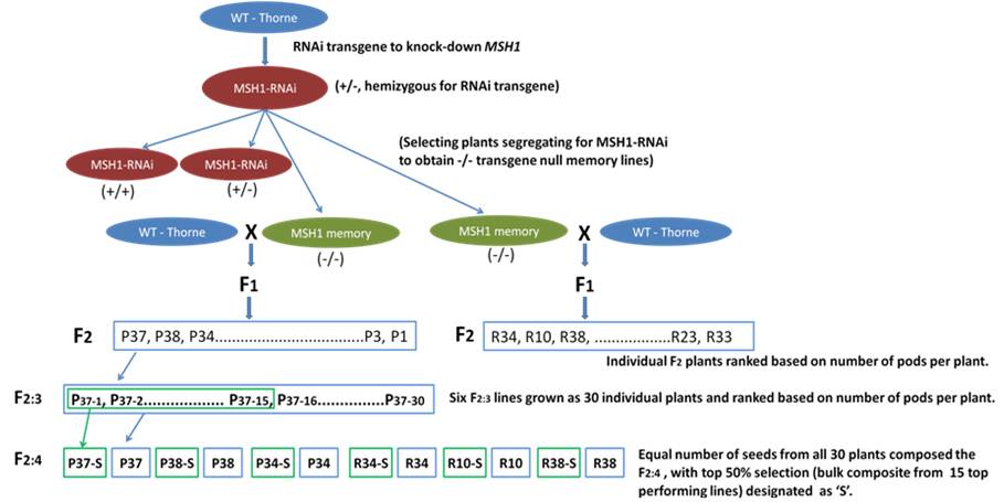 pdf t cell autoimmunity and multiple sclerosis neuroscience