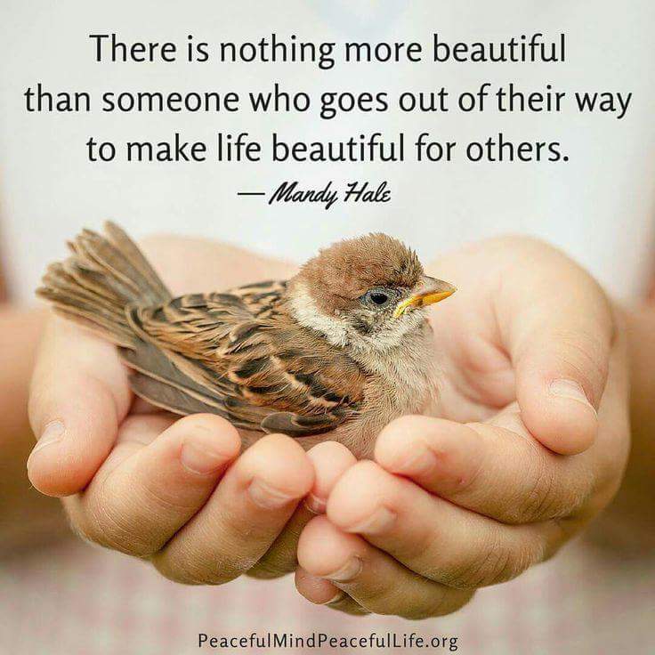 Pascalemaas1's tweet image. Amen💖💖💖