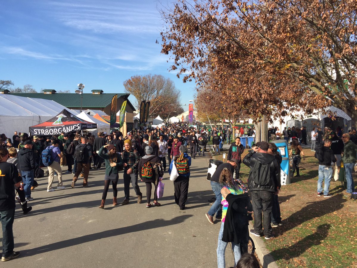 PageDoll's tweet image. Great time at the #Emeraldcup this weekend. Quality was off the charts!