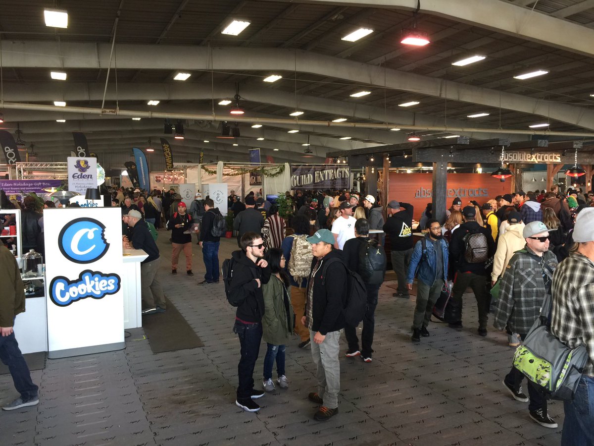 PageDoll's tweet image. Great time at the #Emeraldcup this weekend. Quality was off the charts!